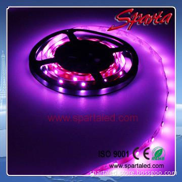 12V led strips rgb waterproof 14.4W/M